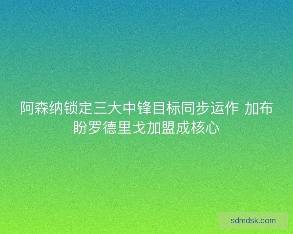 阿森纳锁定三大中锋目标同步运作 加布盼罗德里戈加盟成核心